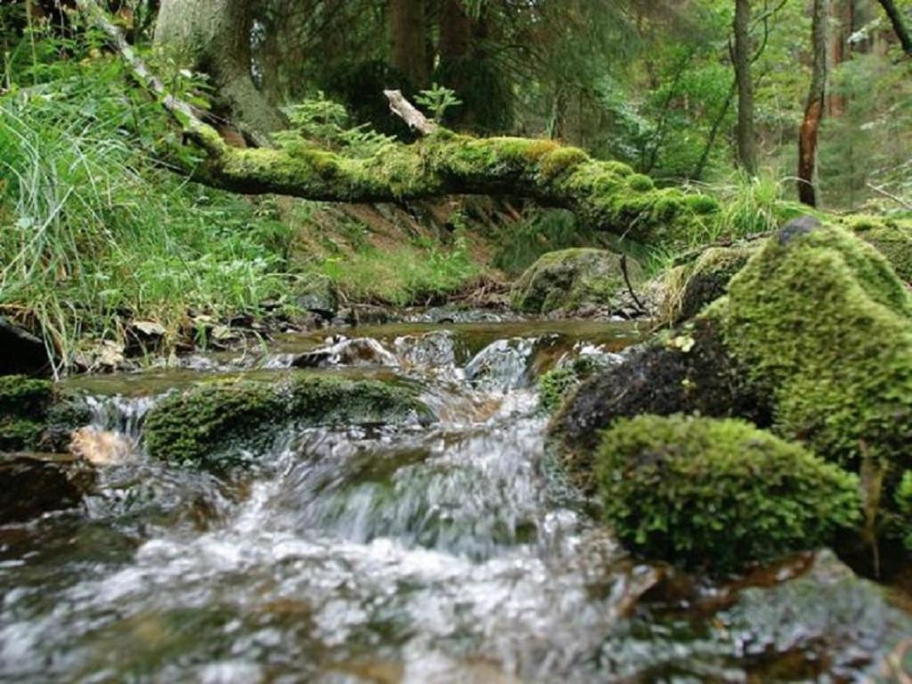 Typ Murmeltier Schmallenberg Buitenkant foto