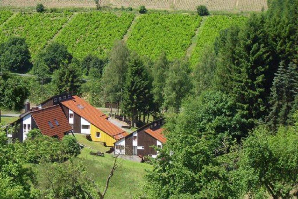 Typ Murmeltier Schmallenberg Buitenkant foto