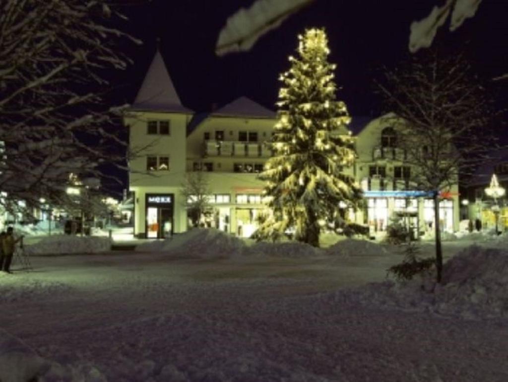 Typ Murmeltier Schmallenberg Buitenkant foto